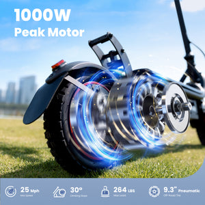 W8 Off-road Electric Scooter