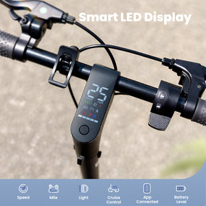 W8 Off-road Electric Scooter